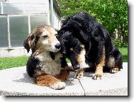 l�ska vo��k�