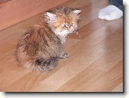 Mus�m to tu prozkoumat,te� m� dovezli!