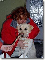 N� mil��ek Denynek!