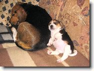 TO SME SE NADL�BLI