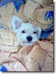 Zhasn�te a jdem sp�t ...