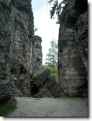 P�skovcov� st�ny - Tis�