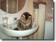 Kam se pod�la voda?