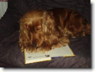 Klub  mlad�ch �ten���