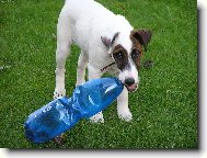 Petky jsou nejlep��!