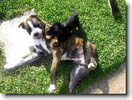 "U� t� m�m fakt pln� zuby"