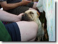 Zaslou�en� odpo�inek