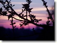 Us�n�n� slunce