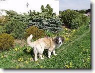 Barunka ve sv�m domov�