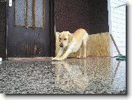 Rann� protahov�n�