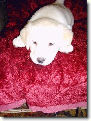 co budu d�lat, aby m� pak nehubovali...