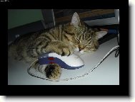 Kone�n� jsem ji chytil