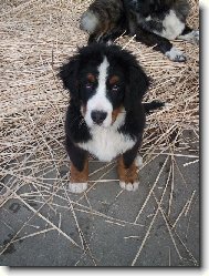 ale j� jsem nic neprovedl