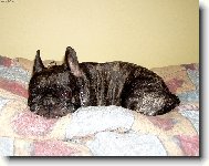 Kdy� sp�m,tak neru�it!!!