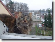 �antal stoup� k v��in�m