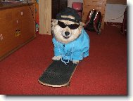 Ben��ek na skatu