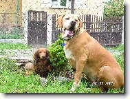 nejlep�� k�mo�i