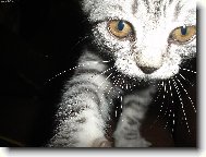 Dej sem ten fo��k!