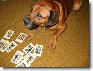 J� ti vylo��m tv�j osud