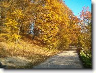 Podzim 2005,Ho�ice/BK