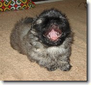 BRYAN - �est t�dn�