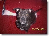 nejlep�� hl�da�