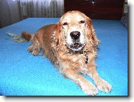 N� mil��ek Ferda