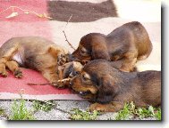 Ty klac�ky rozkou�em:-)