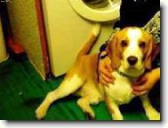 Maxi�ek se kone�n� koukl do fotaku