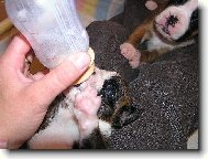 Jsem malej ,ale �ikovnej....