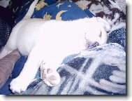 he� v posteli je to lep�����......