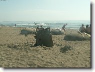 Cesty po Abanii  Kv�ten 2006