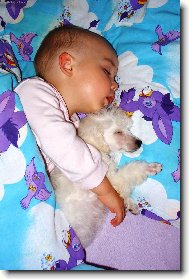 dva mal� kamar�di