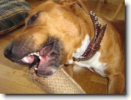 Takhle j� si hraju