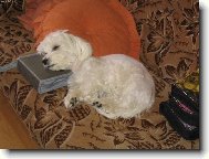 tot�ln� vy�erp�n� ze sledov�n� dvd