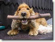 Tak tohle nepust�m