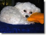 L�b�m se V�m......?