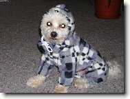 Na zimu jsem ��dn� vybaven.......