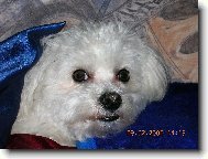 Neru�te m� od sp�nku....