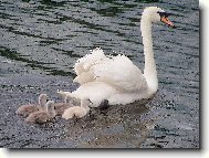 Na prvn�m v�let�