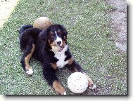 p�ipraven na fotbalov� mistrovstv�