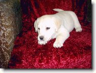 p��prava na skok