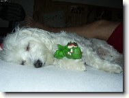 Bez sv� hra�ky neusnu....