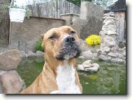 Kesynka s �sm�vem