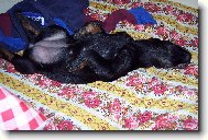 Takhle si to u��v�m