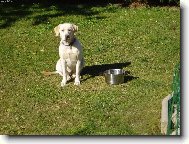 Taky m� v� pes ten v�raz to nen� moje......