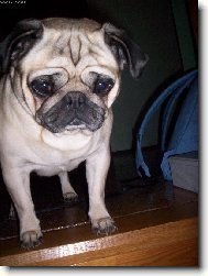 N� poklad �jinka