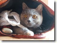 V�ude dob�e, v ta�ce nejl�p :)