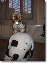 Jerry-n�v�t�va  z   kosmu