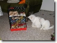 Neboj, jednou ti ho vynd�m.